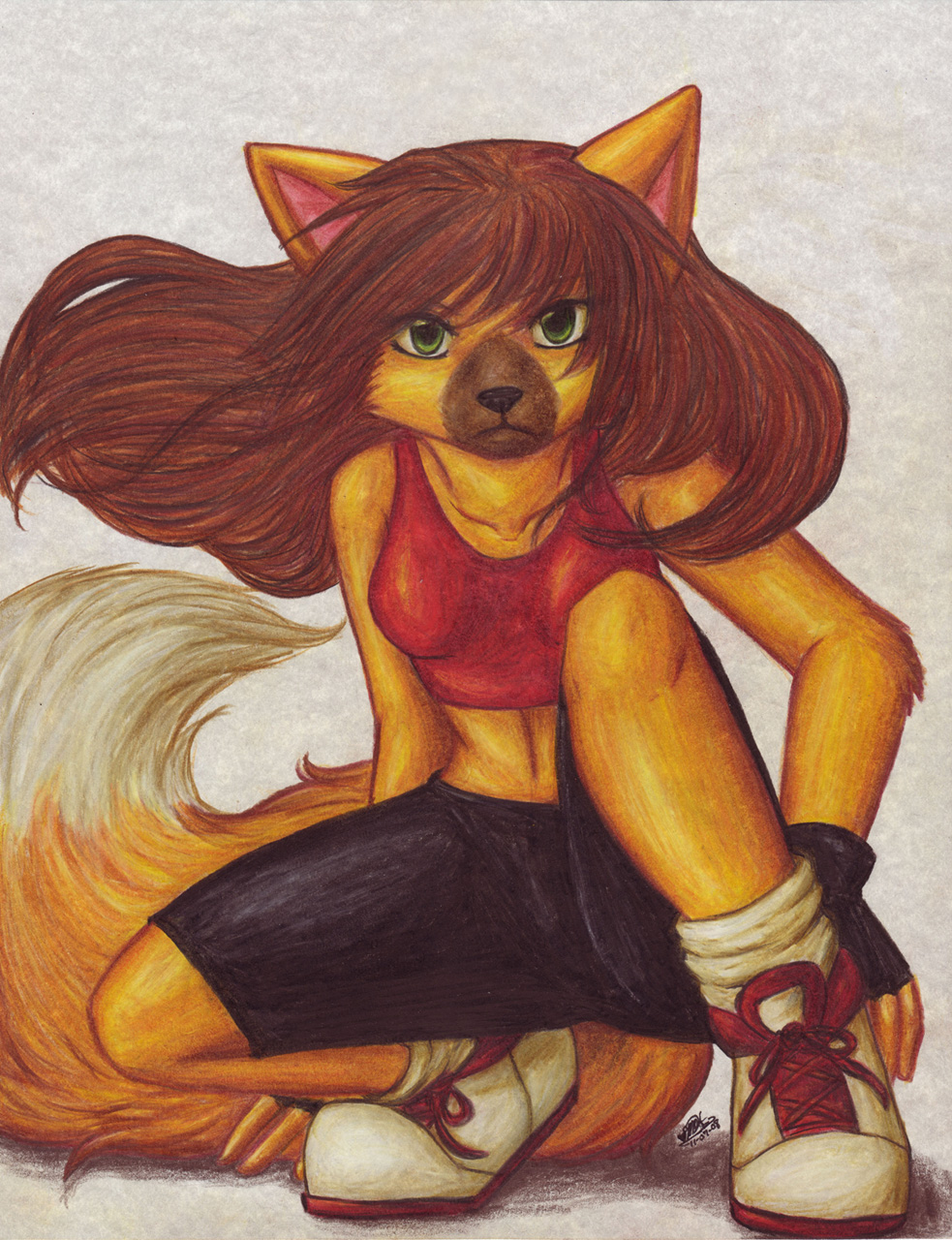 anthro canine clothed clothing female fox mammal midriff solo