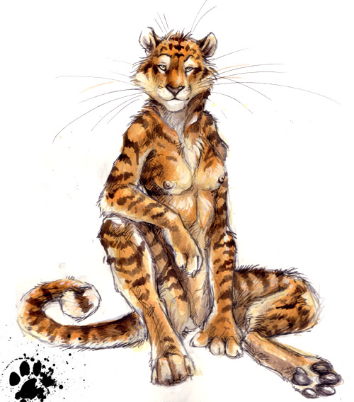 black_nose blotch breasts digitigrade feline female half-closed_eyes looking_at_viewer nipples nude orange sitting solo stripes tail tiger whiskers white_background