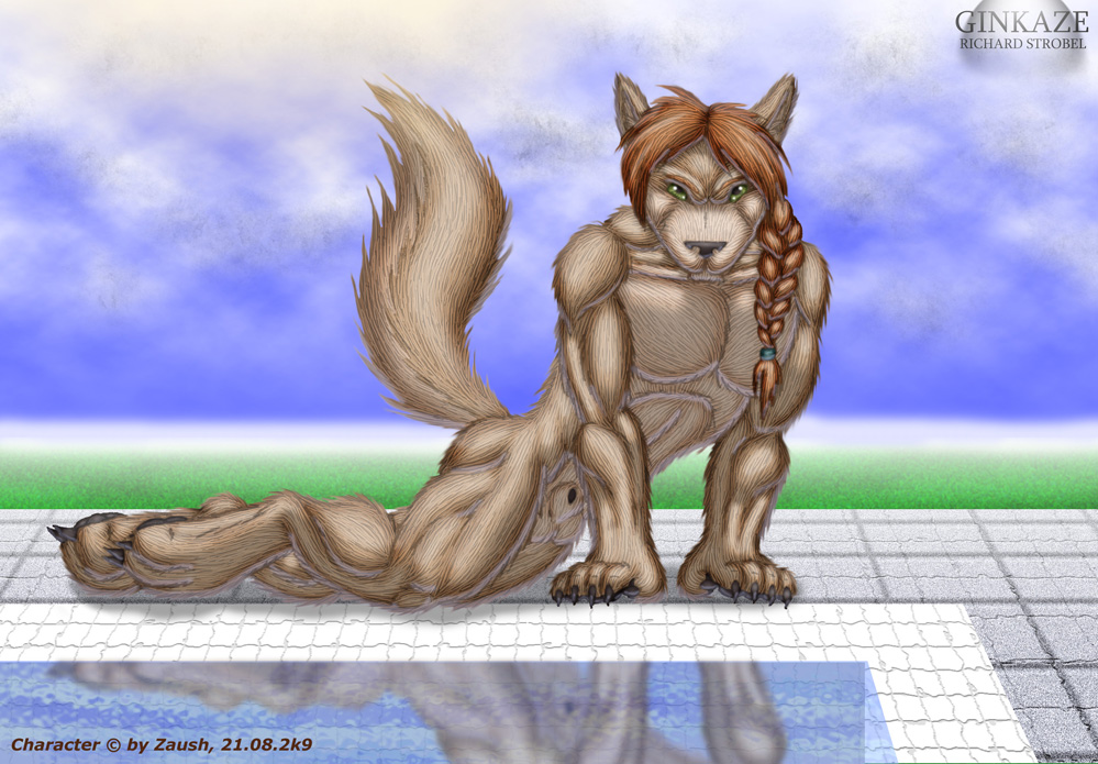 anthro balls canine dingo dog flaccid ginkaze male mammal muscles nude penis pose solo what zaush_(character)
