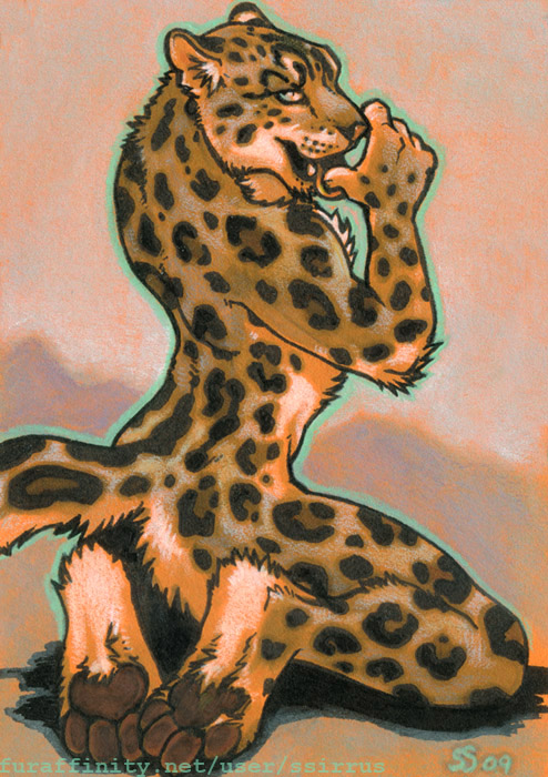 butt feline hindpaw leopard looking_back male mammal paws pose snow_leopard solo ssirrus suggestive tongue