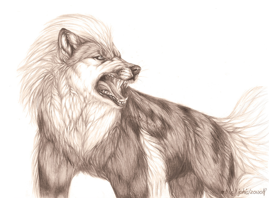 angry arcanine black_and_white blank_background canine chest_tuft feral male mane monochrome pok&eacute;mon snarling solo striped white_background zowolf