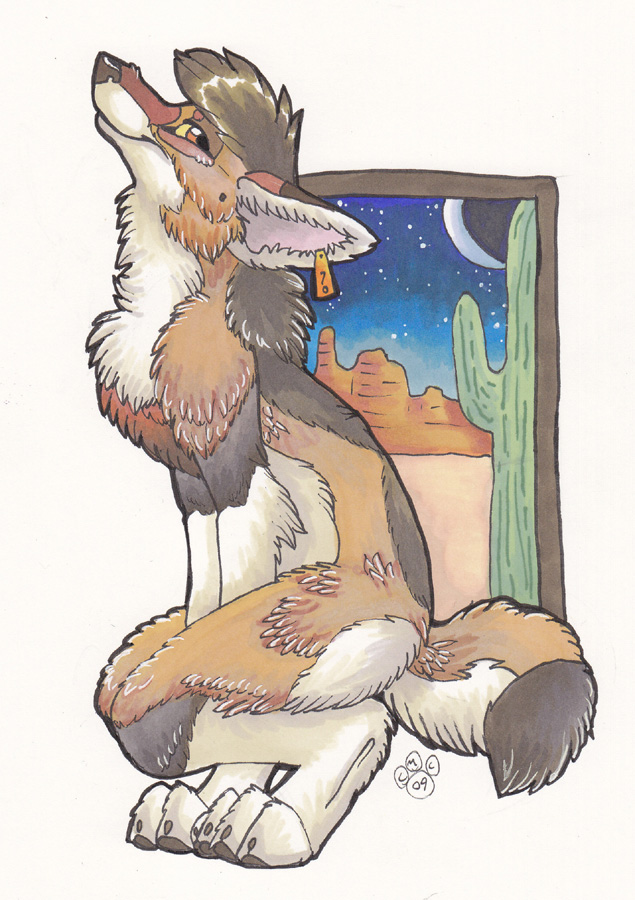 blondefoxy cactus canine coyote desert female feral night solo tag