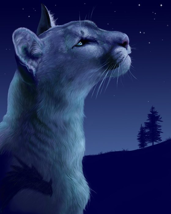 2009 blue_eyes cougar feline feral male moth-eatn photorealism puma solo star tree whiskers