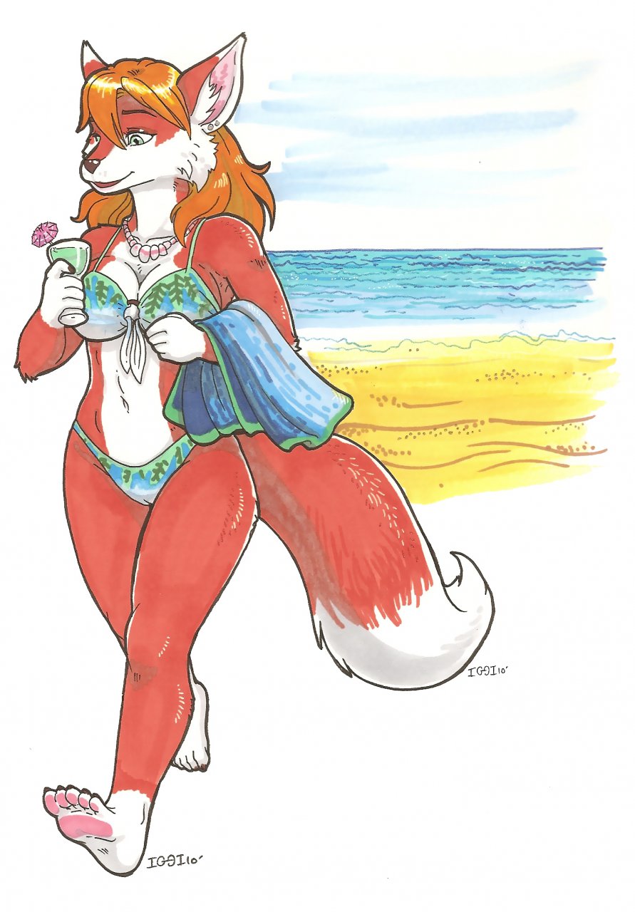 2010 beach canine drink ear_piercing earring female fox hindpaw iggi necklace piercing sand seaside shore solo water