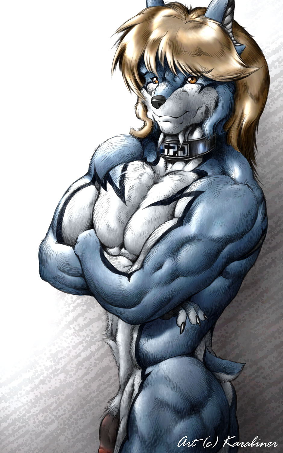 anubis_kruger blonde_hair brown_eyes buff canine collar doggy_kruger hair karabiner male nude penis power_rangers solo