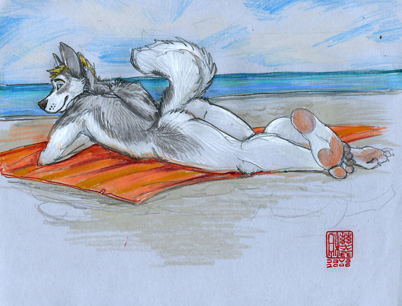 allison_reed beach canine dog husky java male nude seaside solo