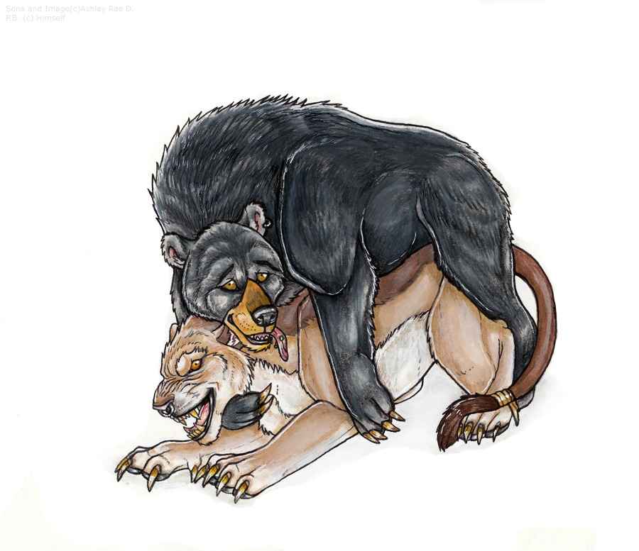 banka bear feline female feral interspecies lion male p.b. sona