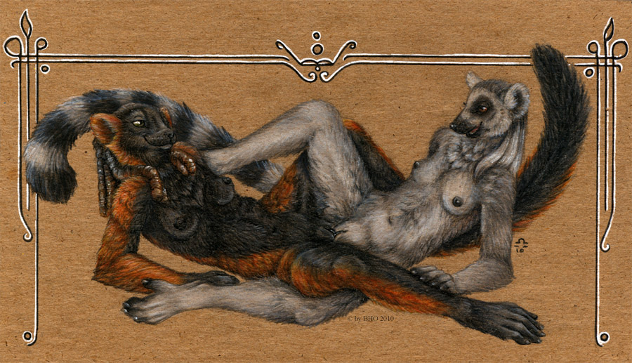 2010 bloodhound_omega breasts couple female frottage lemur lesbian nude on_back plain_background prosimian pussy red_lemur ringtailed_lemur ruffed_lemur sex spread_legs spreading tribadism