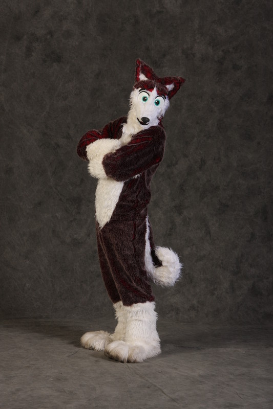 dog fursuit husky mammal real solo tail unknown_artist