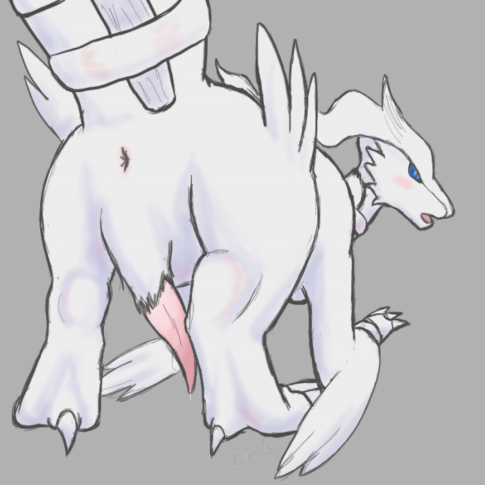 all_fours anus begging l-block looking_at_viewer male mooning nude penis pok&eacute;mon presenting raised_tail reshiram solo tail white