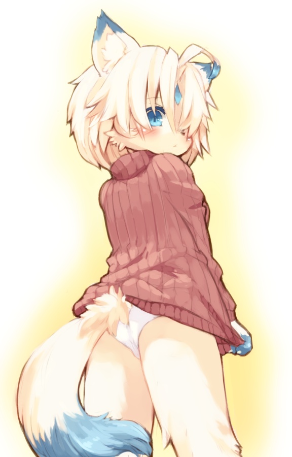 animal_ears blue_eyes blush from_behind from_below furry kishibe looking_back panties ribbed_sweater shirt_tug short_hair solo sweater tail underwear