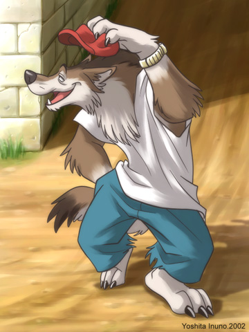 bracelet brown canine fang jeans jewelry lifting_hat looking_at_viewer male open_mouth outside solo tail tank_top tongue wolf