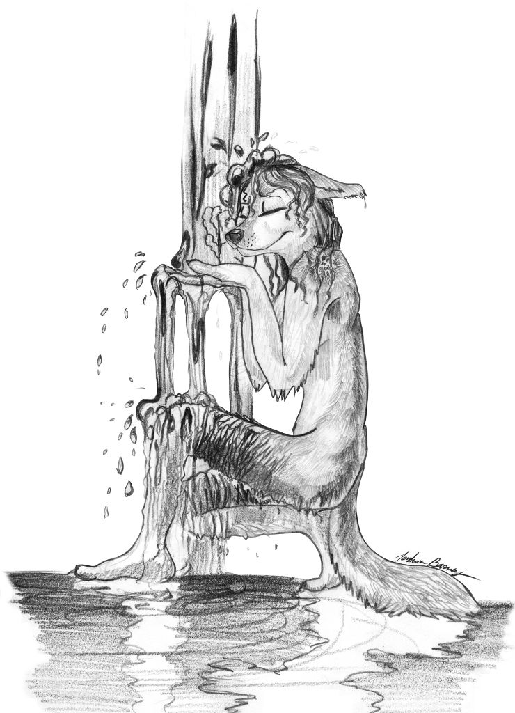 bathing canine eyes_closed female mekoryuk nude shower solo water wet_fur