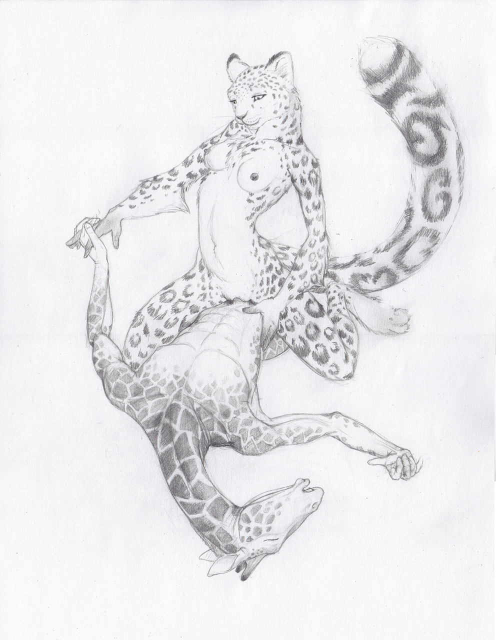 breasts cowgirl_position eyes_closed feline female giraffe hand_holding male nude on_back penetration penis pussy quillu sex sketch snow_leopard straight vaginal vaginal_penetration