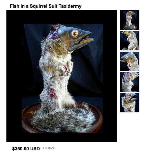 1_in_stock advertisement feral fish fursuit hybrid real rodent rogue_taxidermy squirrel taxidermy what what_has_science_done