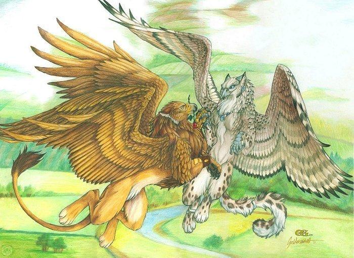 avian female feral flying goldenwolf gryphon male outside paws tail tree