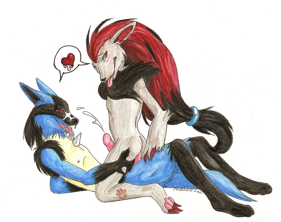 &hearts; black_markings blue cum eyes_open fanart gay green_eyes grey humanoid_penis iko ikorane invalid_tag lucario male open_mouth penis pok&eacute;mon pok&eacute;morph red_eyes tongue zoroark