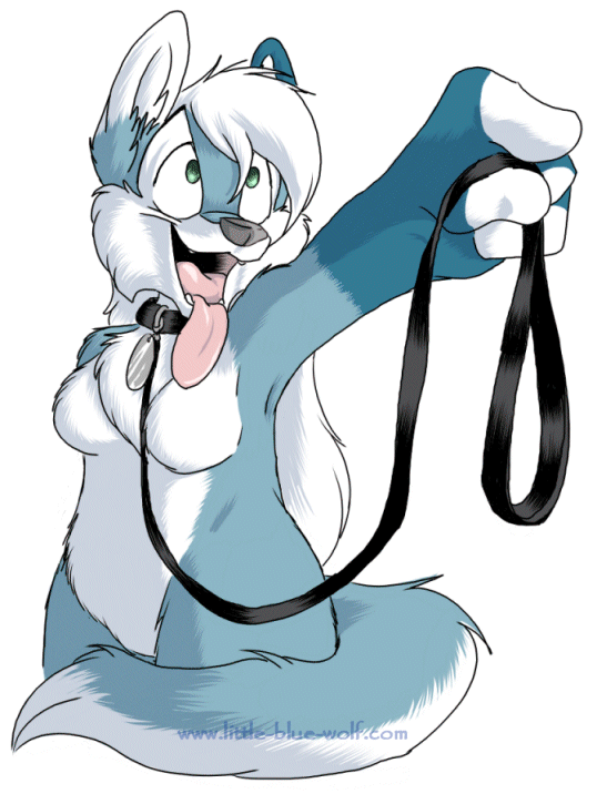 bloo blue canine collar cute leash smile solo tail tongue_out walkie