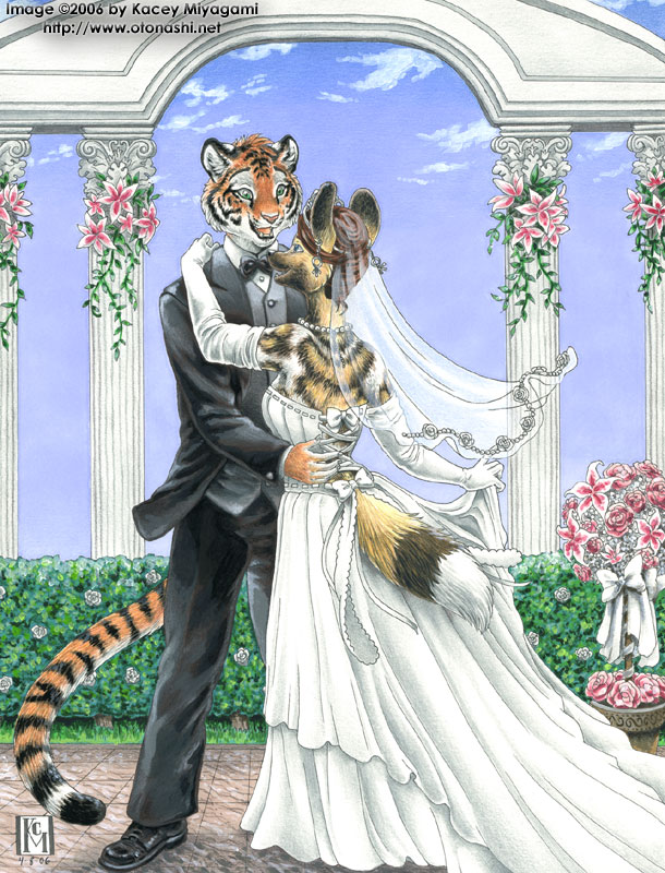 african_wild_dog canine classy couple dog feline female flowers hyena kacey male tiger wedding wedding_dress