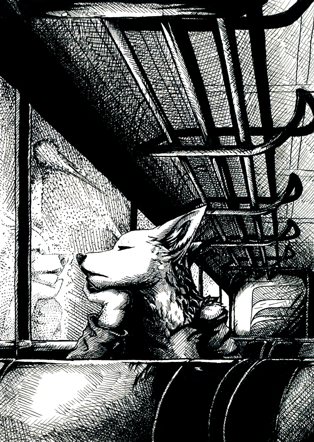 2010 background black_and_white blue-paper bored bus canine inks luggage_rack monochrome reflection solo travel window