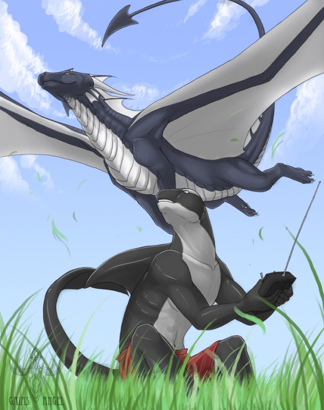 anthro cetacean dragon feral flying gaiasangel male marine orca remote scalie shorts sitting tail