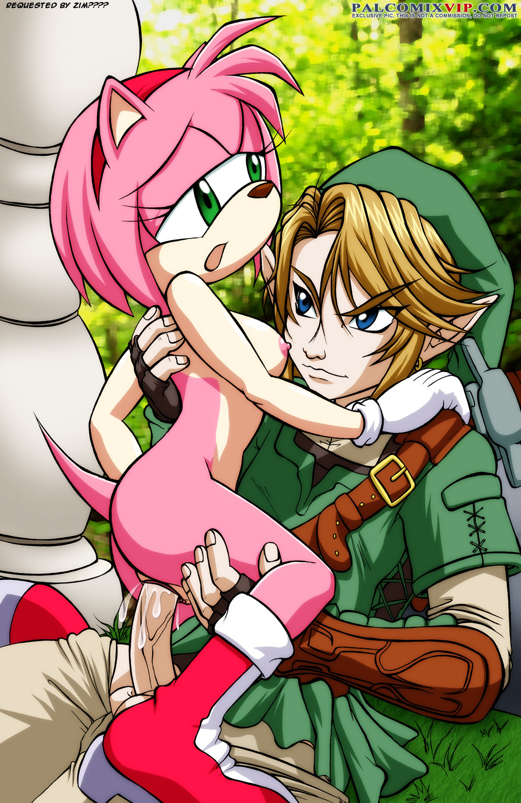 amy_rose cowgirl_position crossover female legend_of_zelda link palcomix penis pussy rule_34 sex sonic_(series) tail the_legend_of_zelda