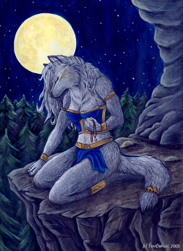 2005 canine eyes_closed female forest kneeling loincloth moon solo tail tani_da_real tree underwear wolf