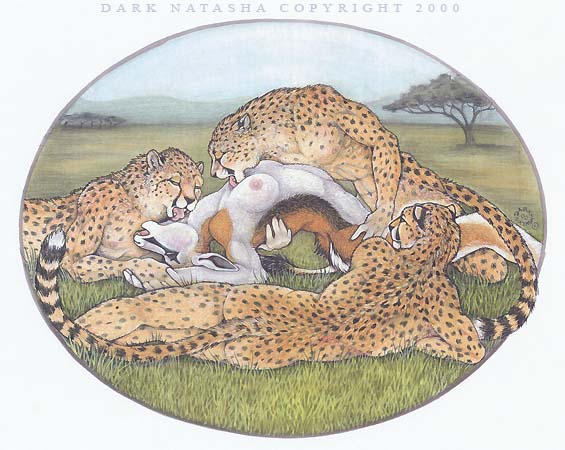 2000 antelope cheetah dark_natasha feline female gazelle hunter licking male nude sex tongue