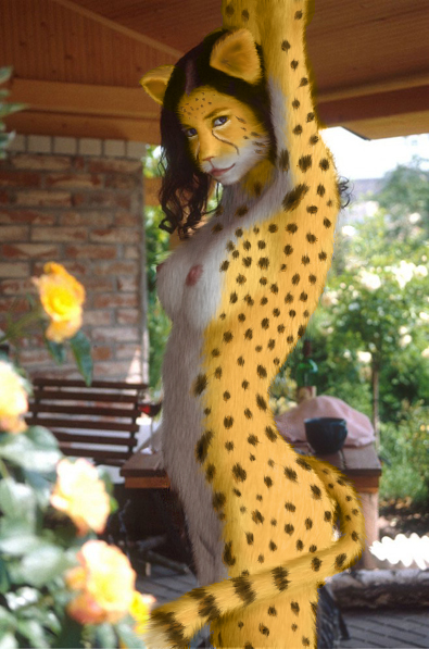 breasts cheetah feline female jenw nude photomorph solo