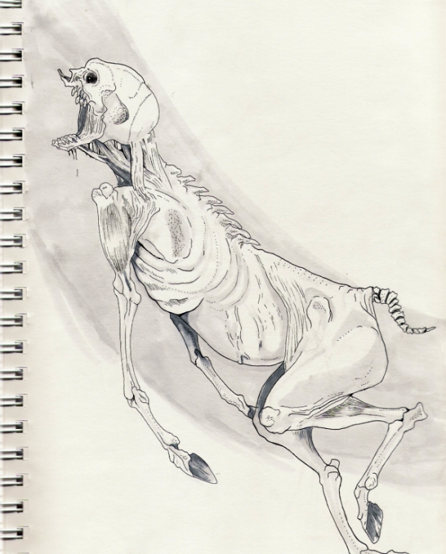 equine horse kitsubaka skull solo what