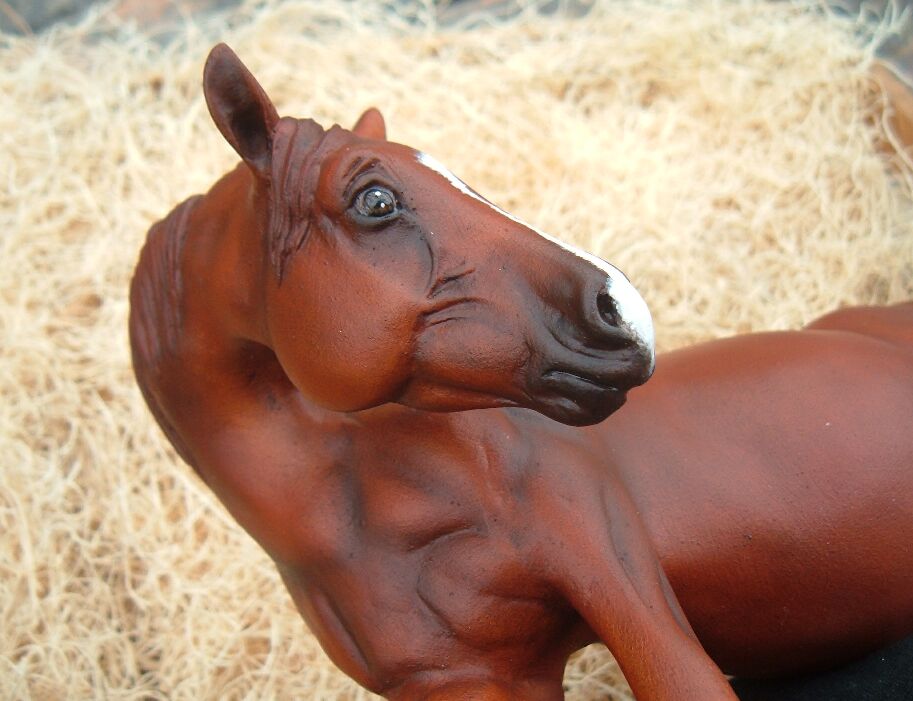 equine feral hooves horse photo real sculpture solo what