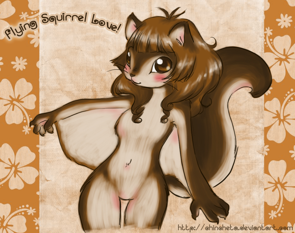 blush chincheta female flying_squirrel nude rodent solo squirrel