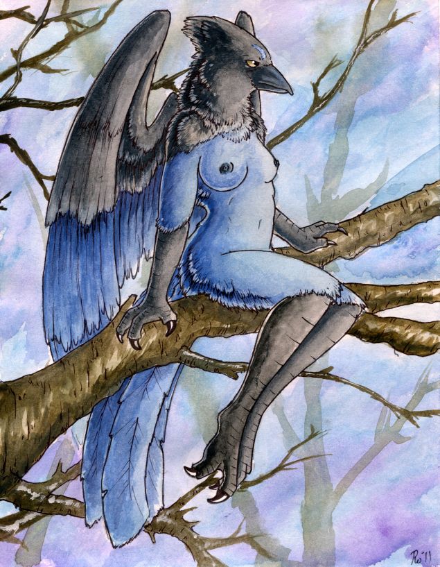 avian bird black black_feathers blue blue_feathers breasts female gryphon nude outside ruaidri solo steller's_jay steller's_jay tree wings wood