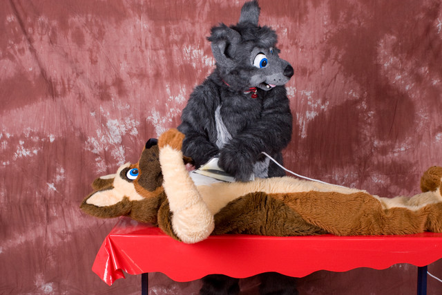 awww canine dog doing_it_wrong fursuit german_shepherd grey iron ironing table