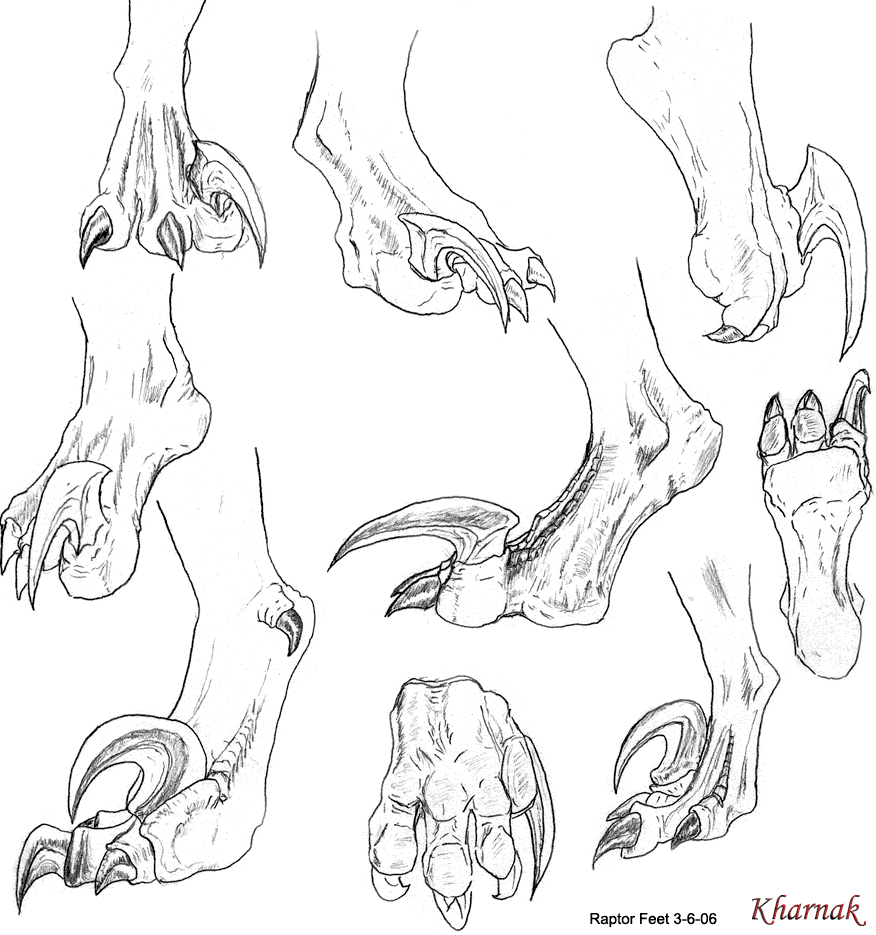 claws dinosaur hindpaw kharnak raptor scalie