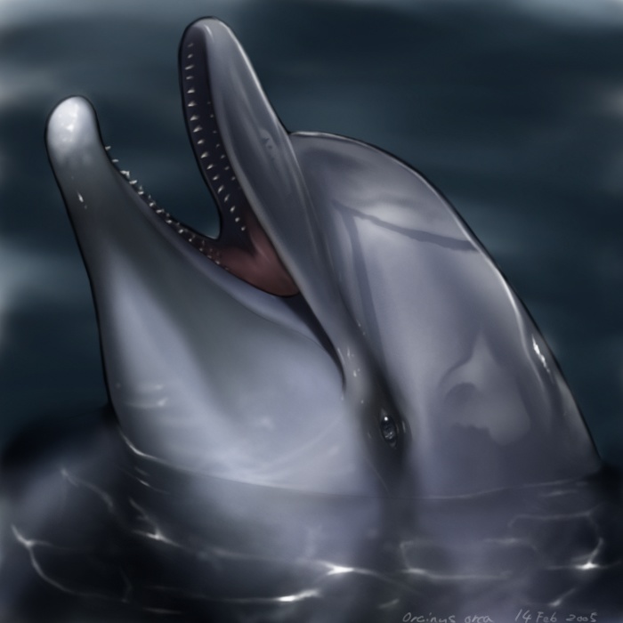cetacean dolphin equus feral marine photorealism solo