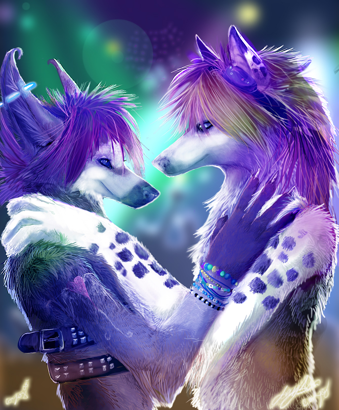 canine couple coyox rave wolf