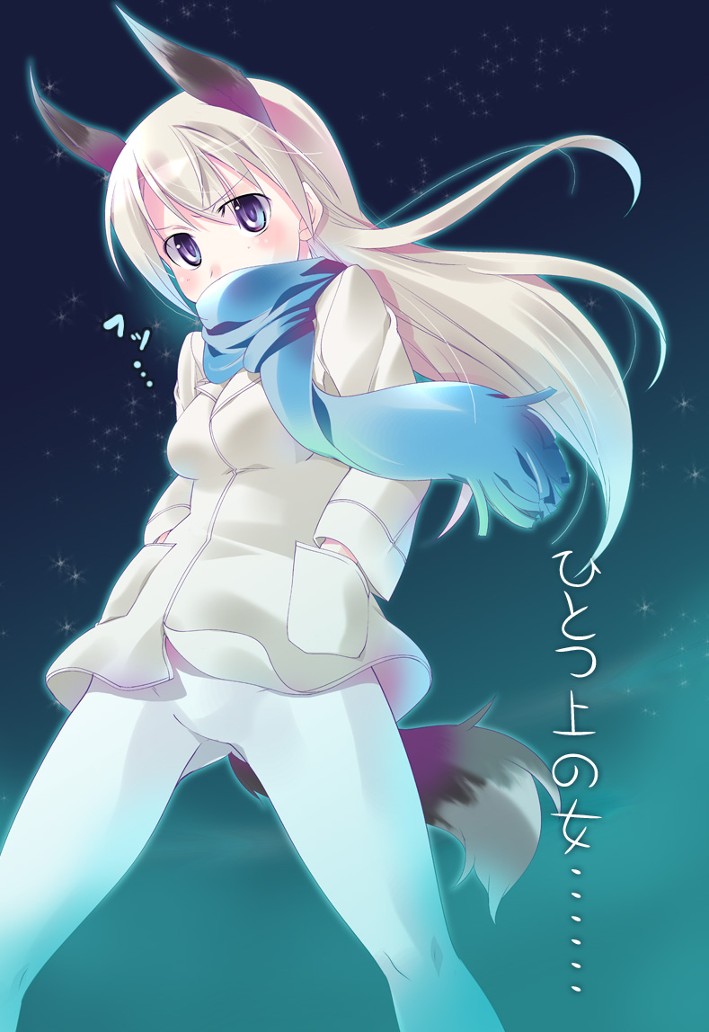 animal_ears blonde_hair blue_eyes blush coat eila_ilmatar_juutilainen fox_ears fox_tail hands_in_pockets imu_sanjo jacket long_hair pantyhose scarf solo star strike_witches tail white_legwear world_witches_series