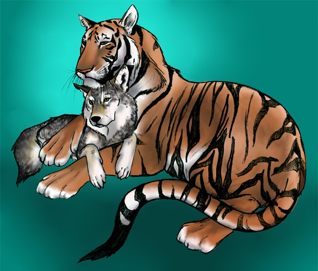 becky_short canine cuddle cute feline feral stripes tail tiger wolf