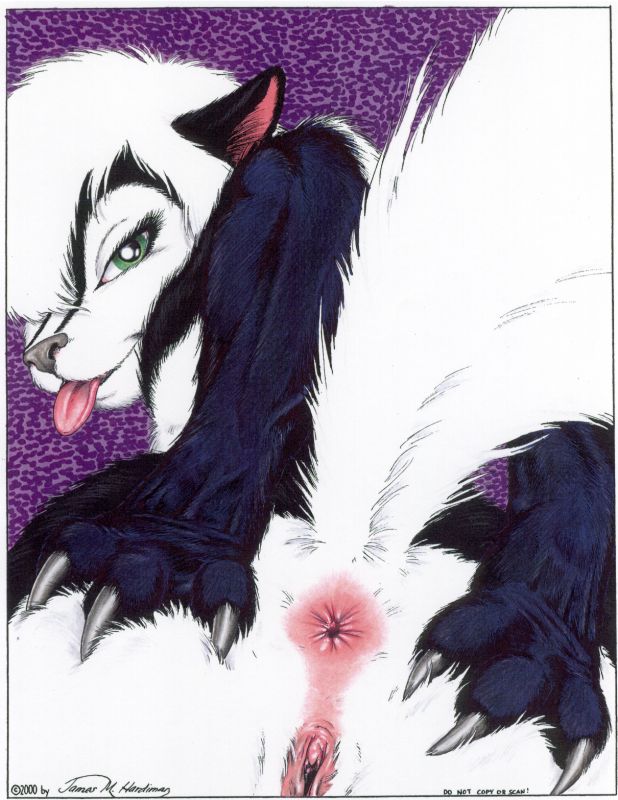 2000 anus bent_over butt close-up female hair james_m_hardiman labia looking_at_viewer mooning nude presenting pussy raised_tail skunk solo spread_anus spread_butt spread_pussy spreading tail tongue white_hair