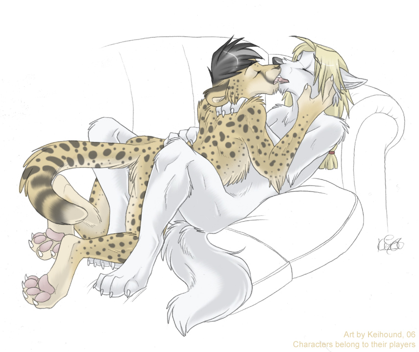 canine cheetah couple feline gay hindpaw keihound kissing male sofa wolf