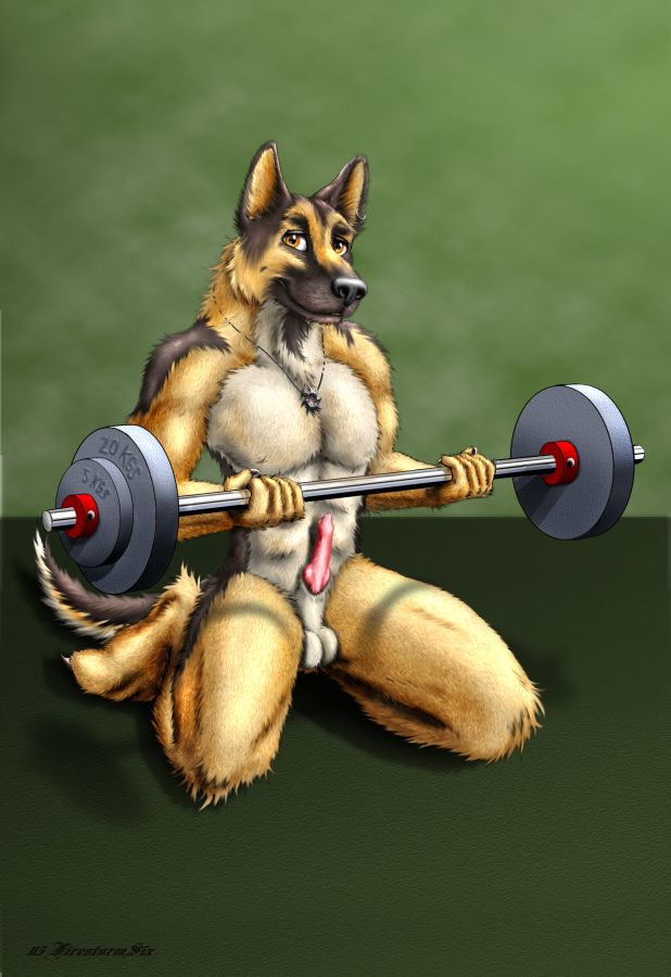 canine canine_penis dog exercise german_shepherd knot male penis solo weights working_out