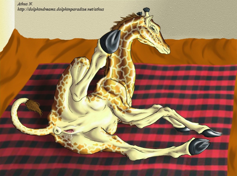 anus athus butt female feral giraffe hindpaw hooves long_neck muscles on_side presenting pussy pussy_juice raised_leg solo spread_legs spreading