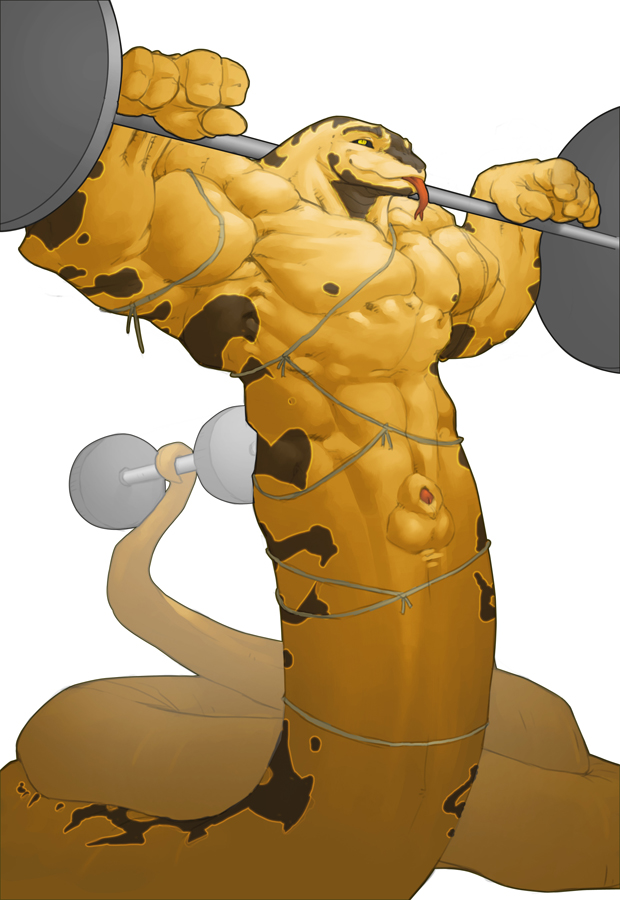 balls exercise grin looking_at_viewer male muscles naga nude penis scalie snake solo standing tail thewielder tongue weights working_out yellow_eyes