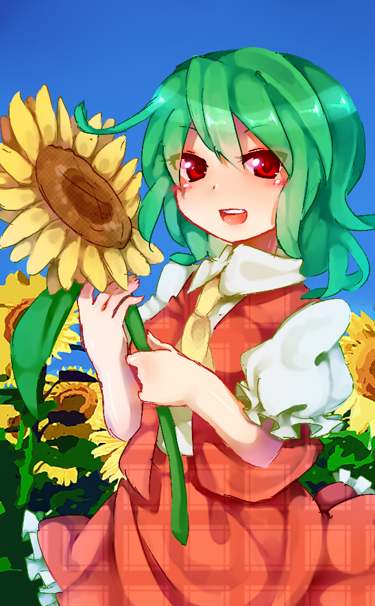 flower green_hair kazami_yuuka red_eyes soiri_(us) solo sunflower touhou
