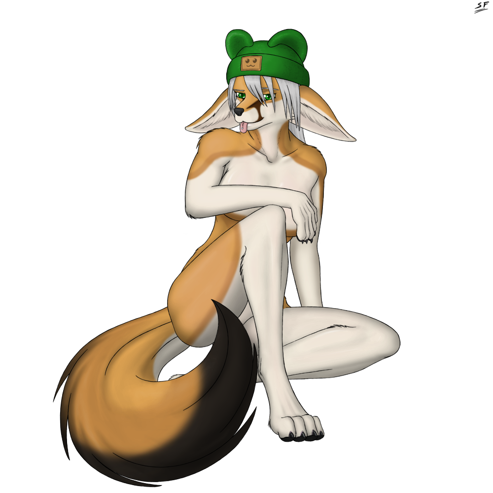 canine female fennec fox hat mammal nude plain_background slowfag solo white_background