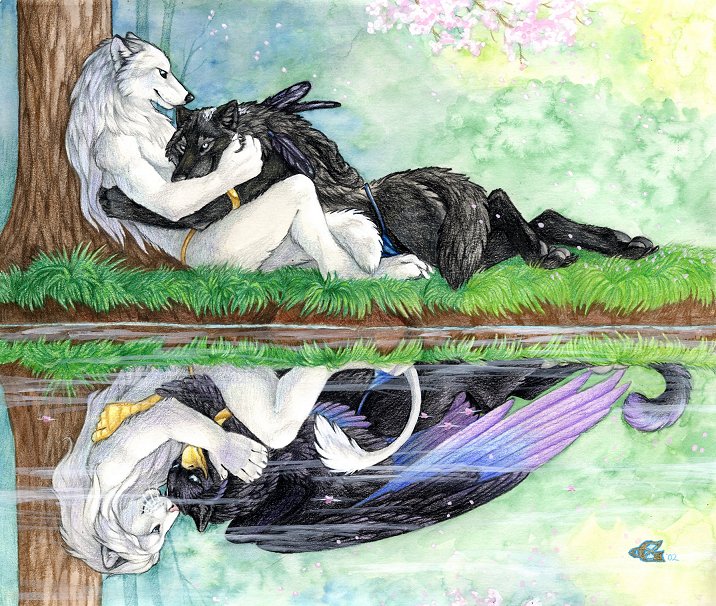 altered_reflection avian canine couple feline female goldenwolf gryphon hug lion male reflection straight water wings wolf