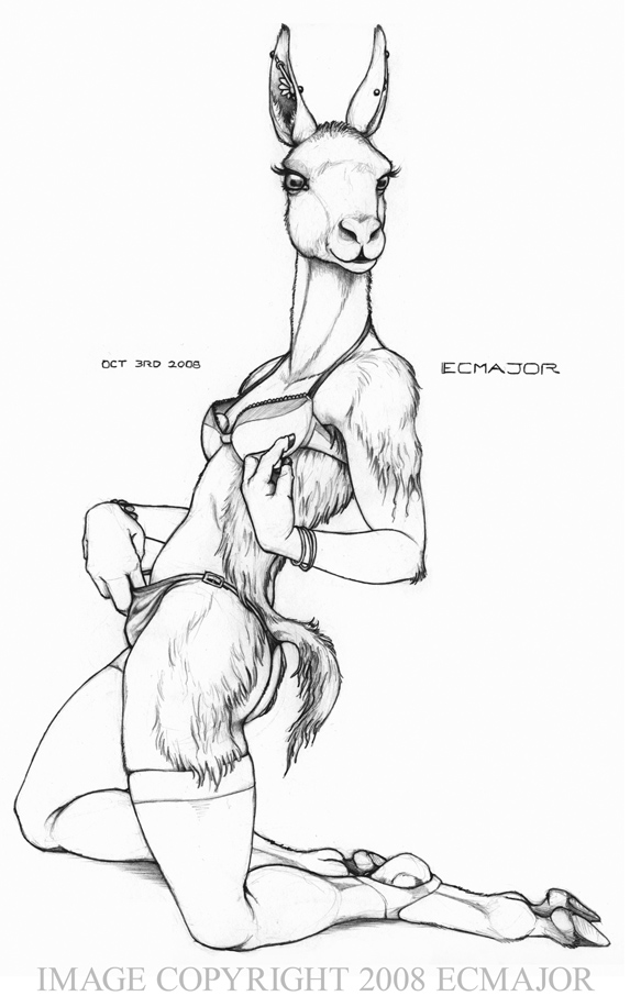 ecmajor female guanaco hooves lingerie llama solo