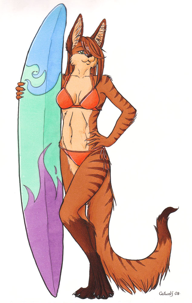 2008 canine catwolf female solo surfboard swimsuit
