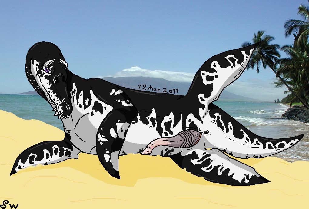 bad_dragon beach black black_skin cute dinosaur enjoy enjoyment fangs fins hard hot invalid_tag joy leiwo leiwo_(character) liopleurodon looking_at_viewer male marbled narse naughty penis photo_background photograph_background play playful plesiosaur presenting scalie sea seaside sex showing_off silver-weed solo spotted spreading teeths water water_horse white_belly